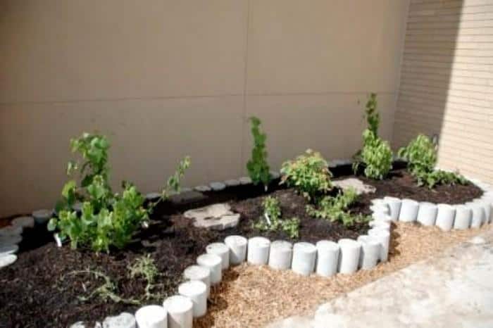 Garden Border Ideas To Improve Your Yard’s Style