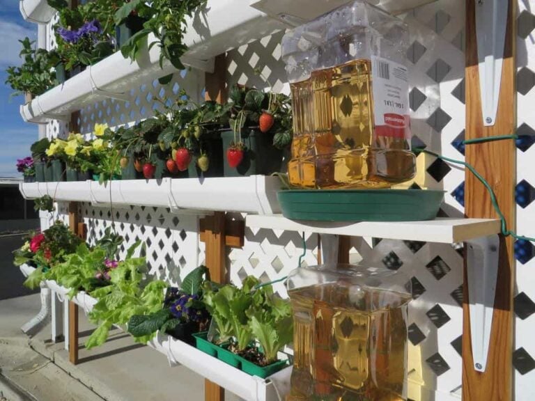 Think Big WIth These Vertical Garden Ideas