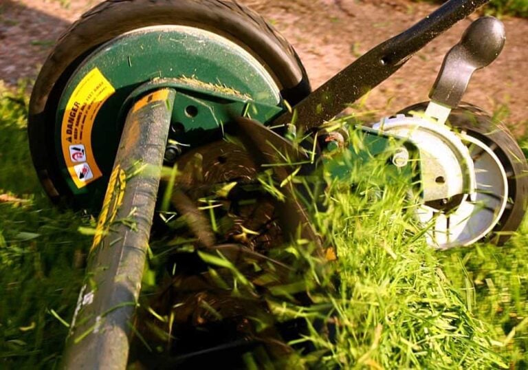 Finding the Best Push Mower For Your Yard