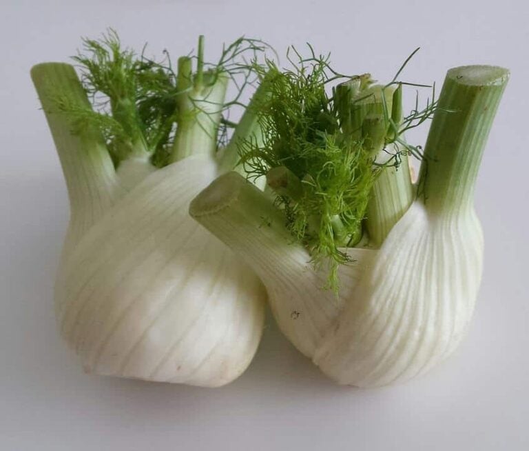 Growing Fennel the Right Way