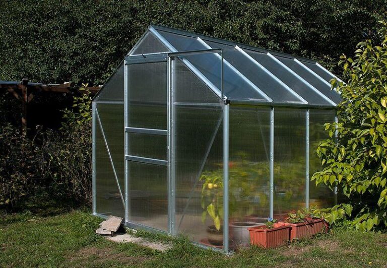 Best Small Greenhouses (Ultimate Guide [year])