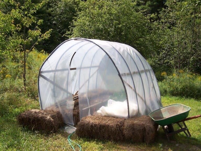 Find the Best Portable Greenhouses for Mobile Gardens