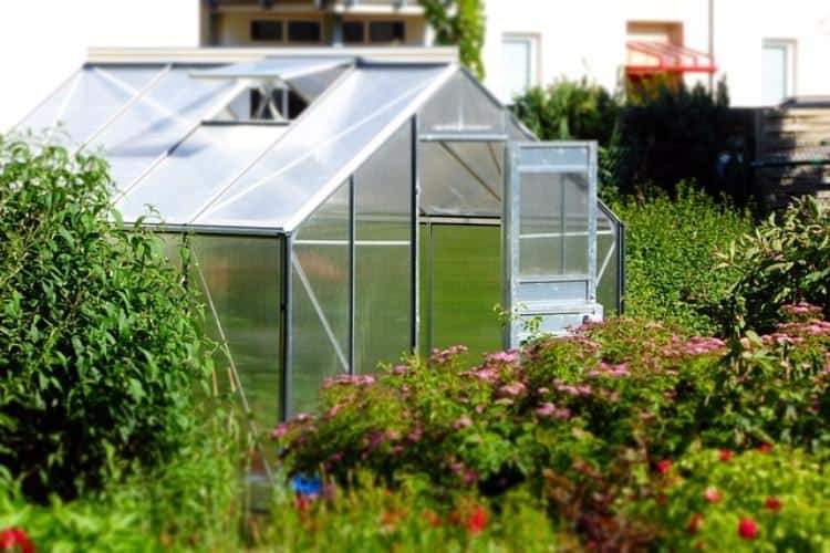 Benefit from These Inspired Greenhouse Ideas