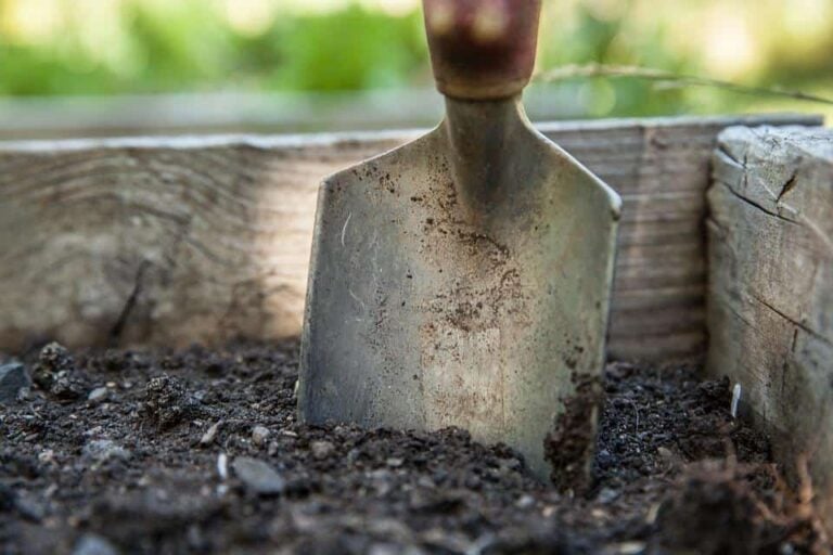 Get Down in the Dirt with the Best Garden Spades