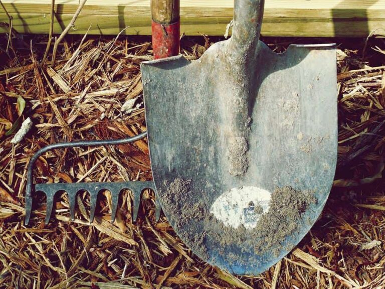 Plant Quickly and Safely with the Best Garden Shovels