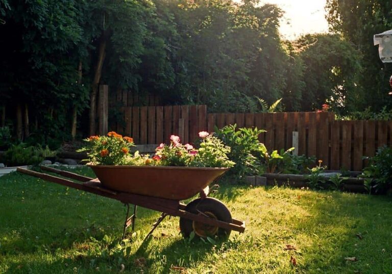 Haul Garden Tools/Plants with the Best Wheelbarrows