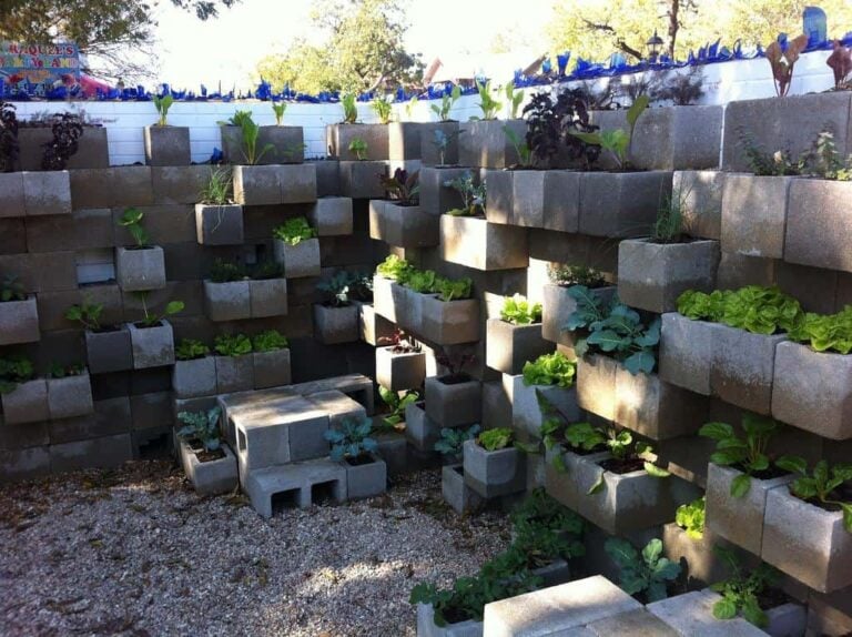 Get Some Great Cinder Block Garden Ideas