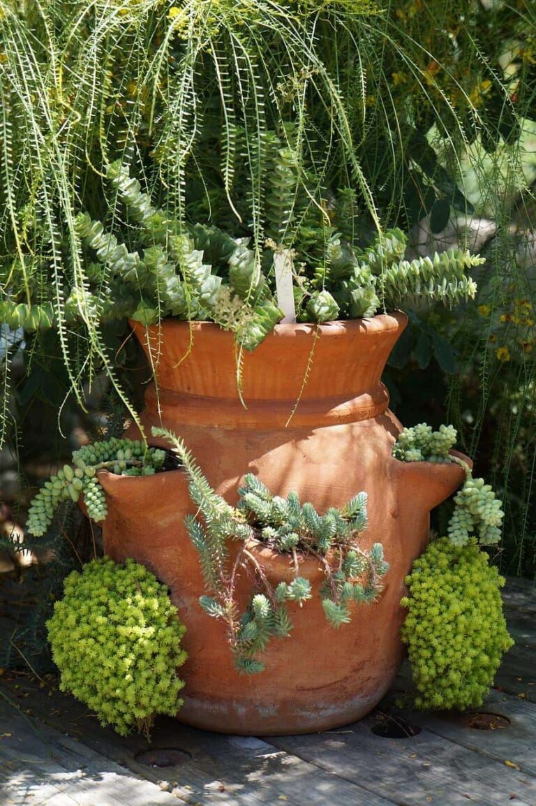 Shield Plants from the Sun With a Shade Container Garden