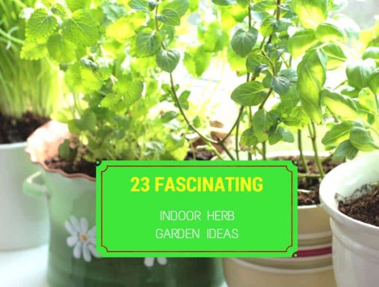 23 Fascinating Indoor Herb Garden Ideas