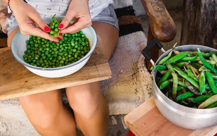 How And When To Harvest Peas