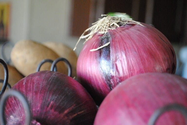 A Guide to Various Types of Onions
