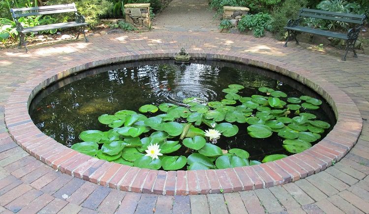 How Often Should I Clean My Pond?