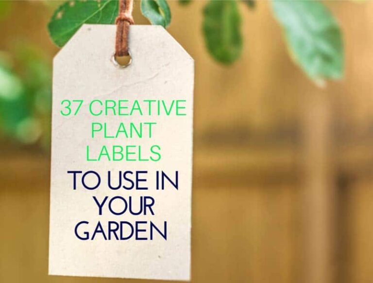 37 Creative Plant Labels To Use In Your Garden