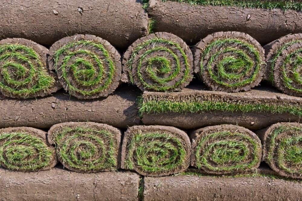 rolled sod