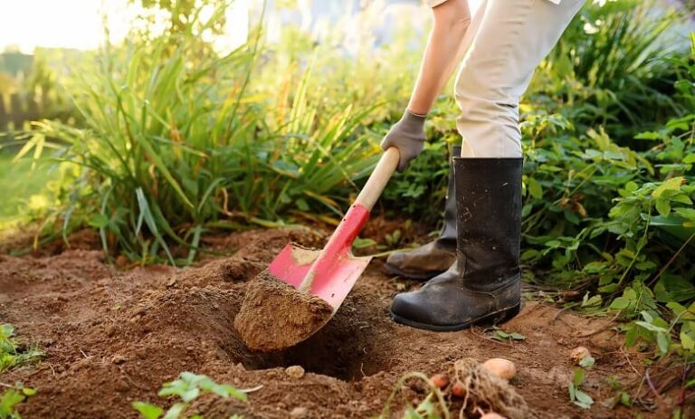 Best Garden Spades And Shovels For Your Yard