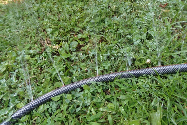Are Soaker Hoses Worth It?