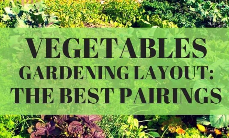 vegetable gardening layout best pairings