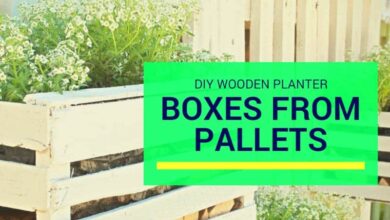 wooden planter boxes