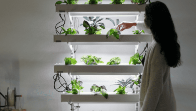 hydroponics design