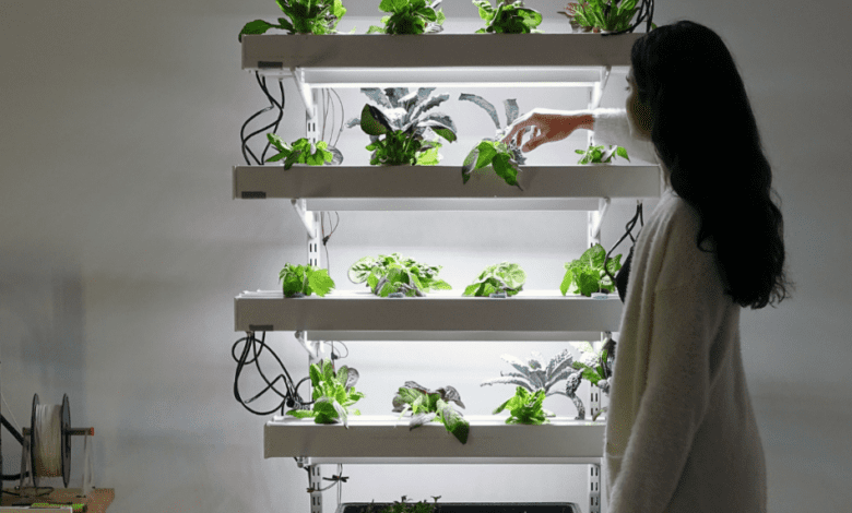 hydroponics design