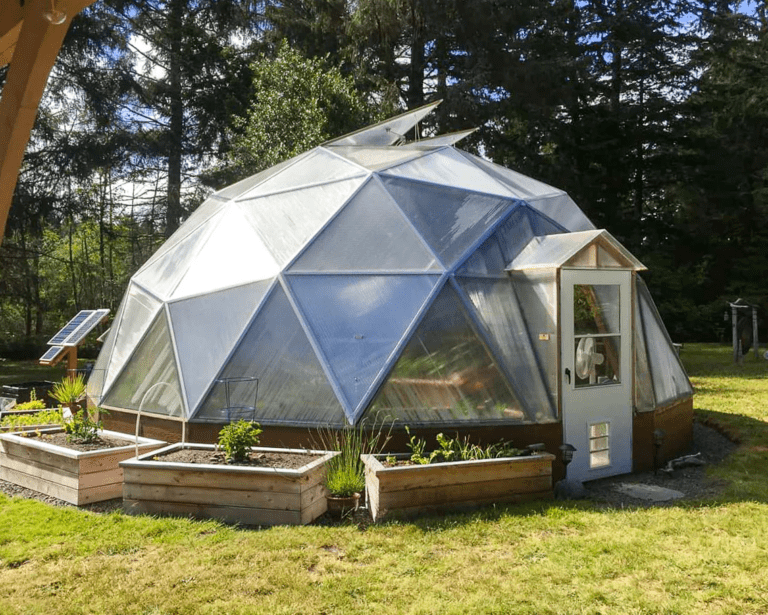 Dome Greenhouse: Efficient Growing for All Seasons