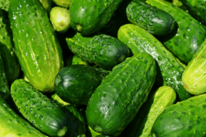 when to pick cucumbers
